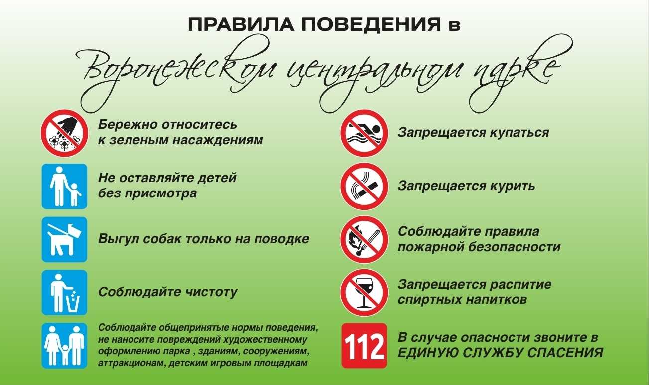 Как обезопасить себя во время путешествия?