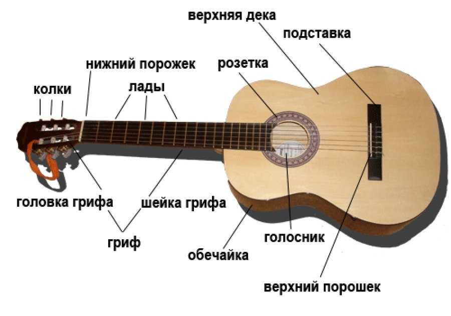 Советы по правильному хранению гитары | что и как хранить