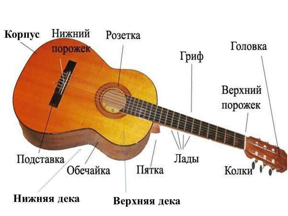 Как устроены гитары yamaha и обзор 9 лучших моделей