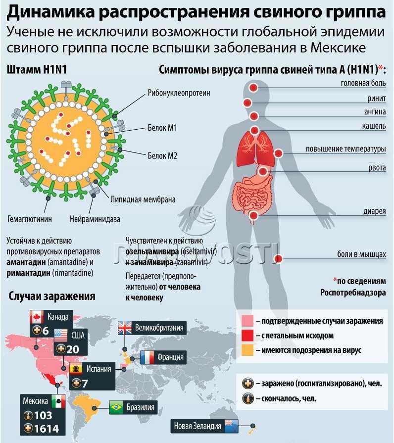 Пандемия гриппа после первой мировой войны — призрак испанки, что поразил европу и мир