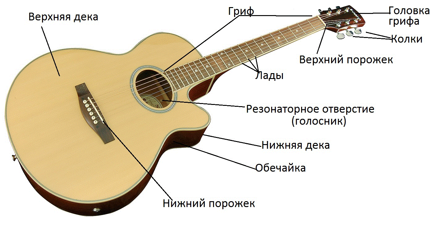Какие бывают гитары? | какиебывают.рф