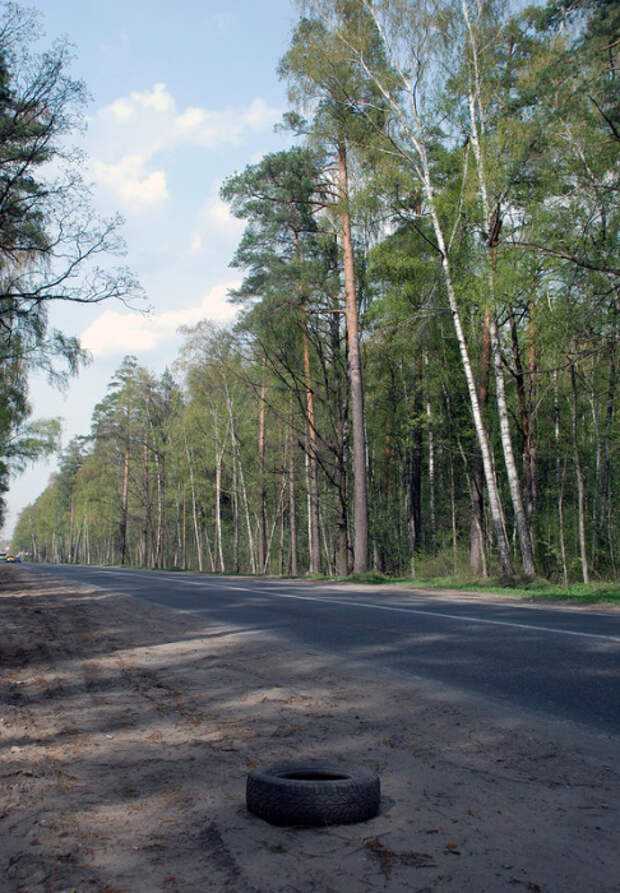 «страшилки» марьиной рощи: самые темные легенды района