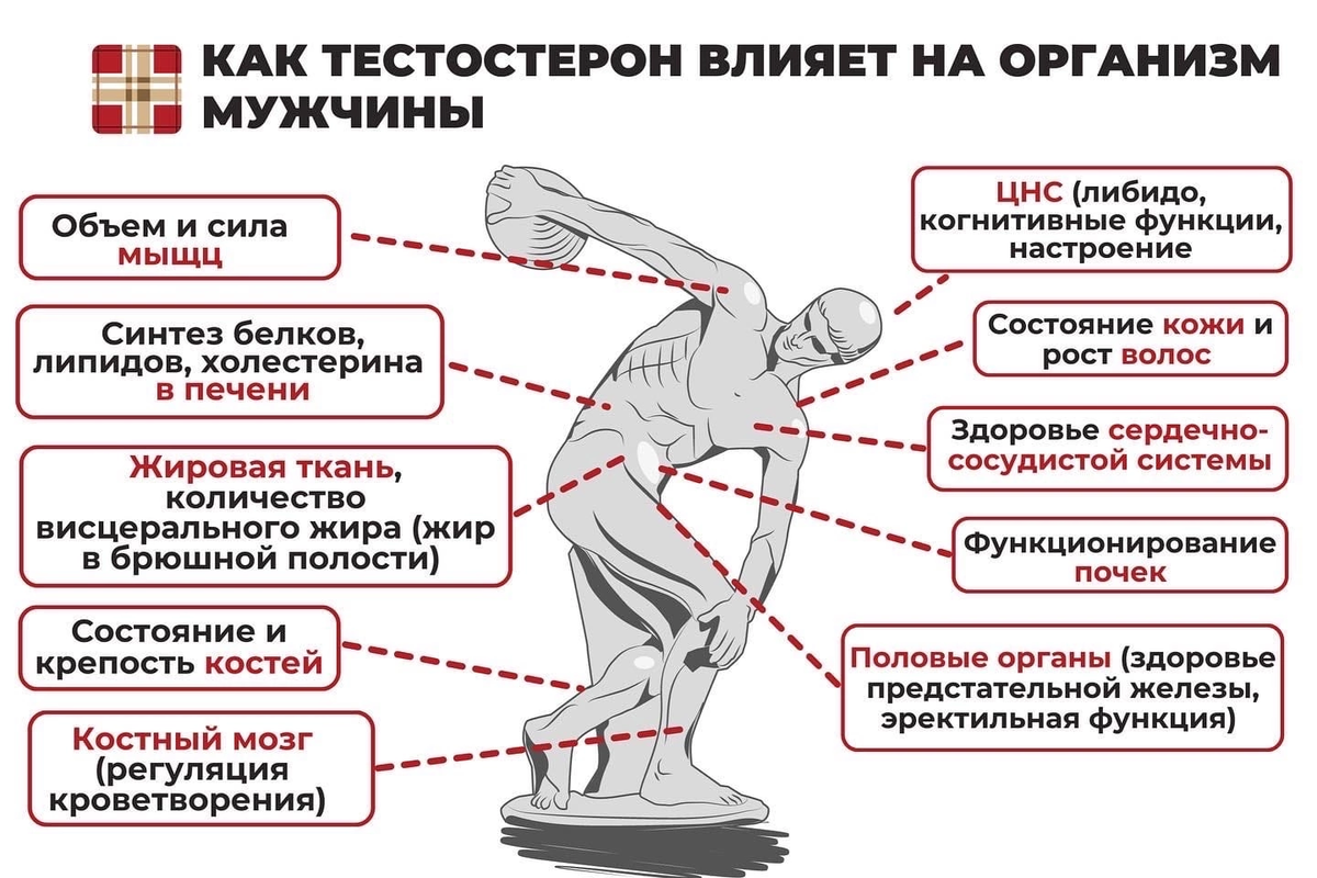 Я парень, а не трансгендер: знакомство с геворгом, визажистом, который красится лучше любой девушки