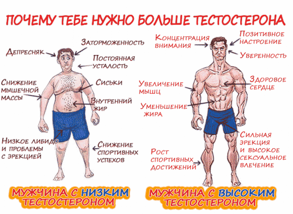 20 упражнений для повышения потенции у мужчин в домашних условиях и физического улучшения