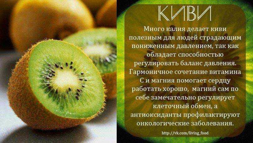 Польза киви для здоровья