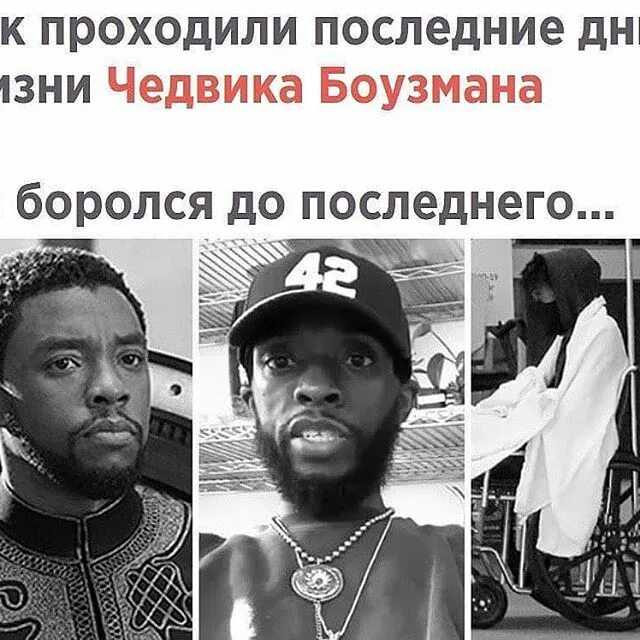 Чедвик боузман: биография черной пантеры из вселенной «марвел»