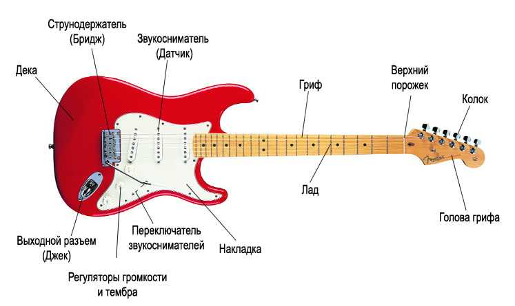 Регулировка грифа, правильная настройка прогиба