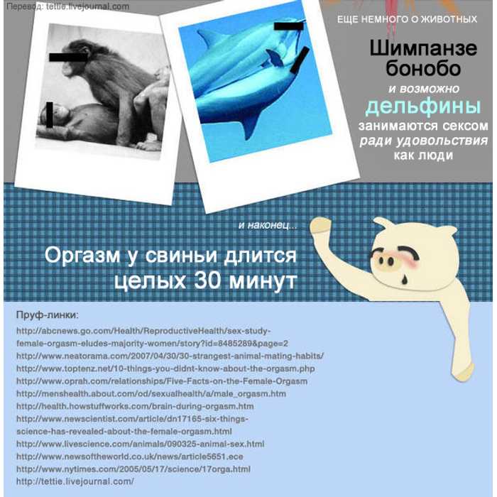 Женский оргазм: 8 удивительных фактов, о которых стоит узнать