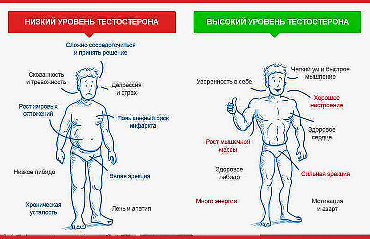 Как повысить тестостерон у мужчин естественными способами — без химии и лекарств?