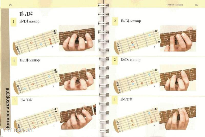 Как научиться играть на гитаре с нуля за 14 дней: пошаговая инструкция для начинающих • с чего начать обучение