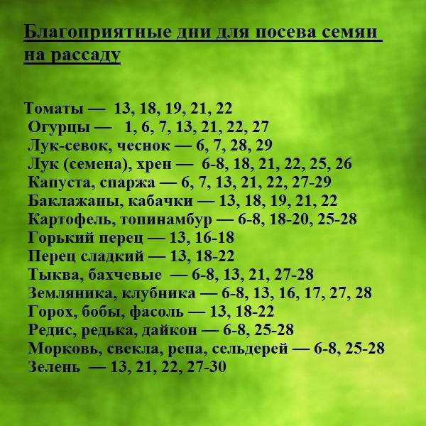 Легкие песни на гитаре для начинающих. аккорды