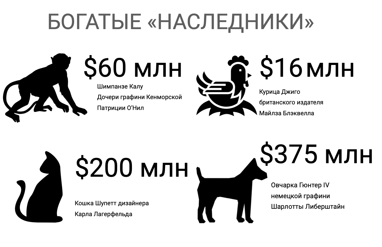 Счастливчик, который получит наследство карла лагерфельда, до сих пор не определен: на 225 млн $ модельера претендуют 7 человек и шупетт