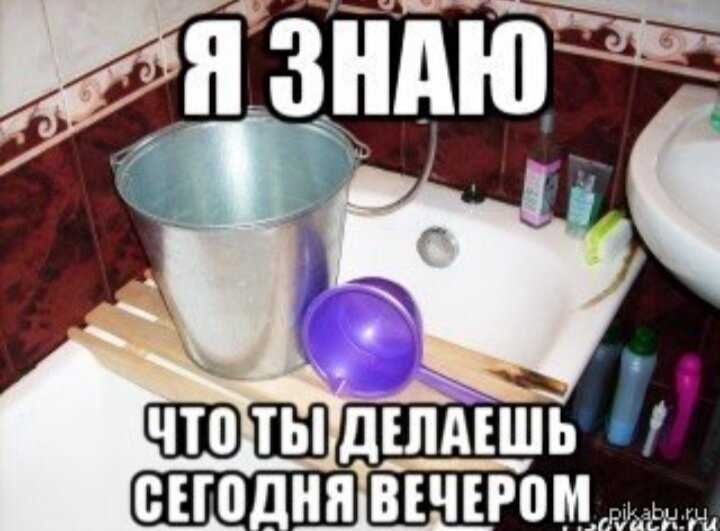 10 очаровательных псов, которые спасаются от жары в ванной - иркутские кулуары