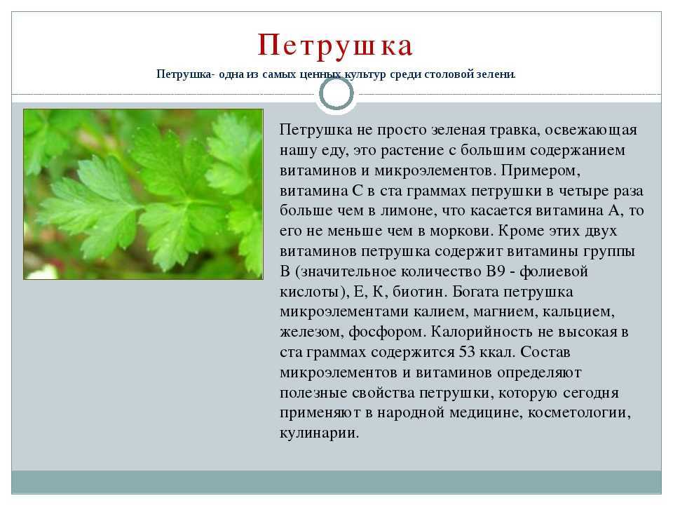 Был идеальным мужем, а потом застрелил. как блогер-семьянин jinnkid стал обвиняемым в убийстве жены