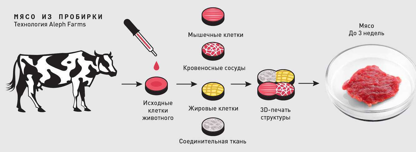 Пища недалекого будущего. как готовят мясо из пробирки и почему мы все скоро будем его есть / хабр