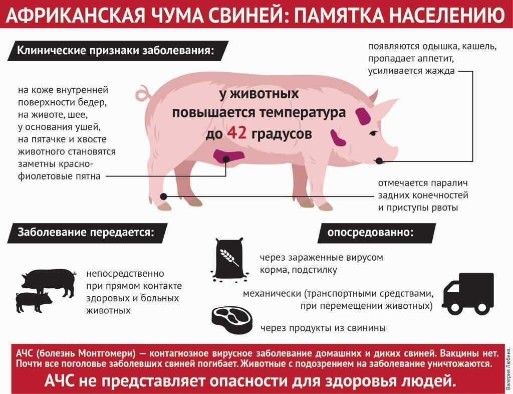 «эрис» — новый штамм коронавируса