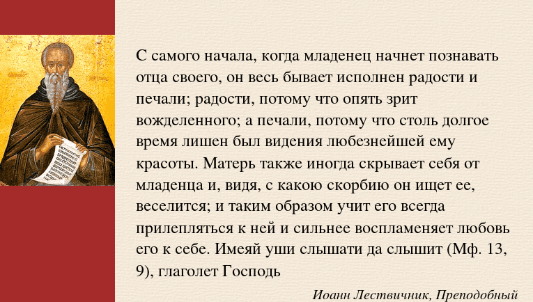 Что случилось с ашмариной аленой? подробности и разбор событий
