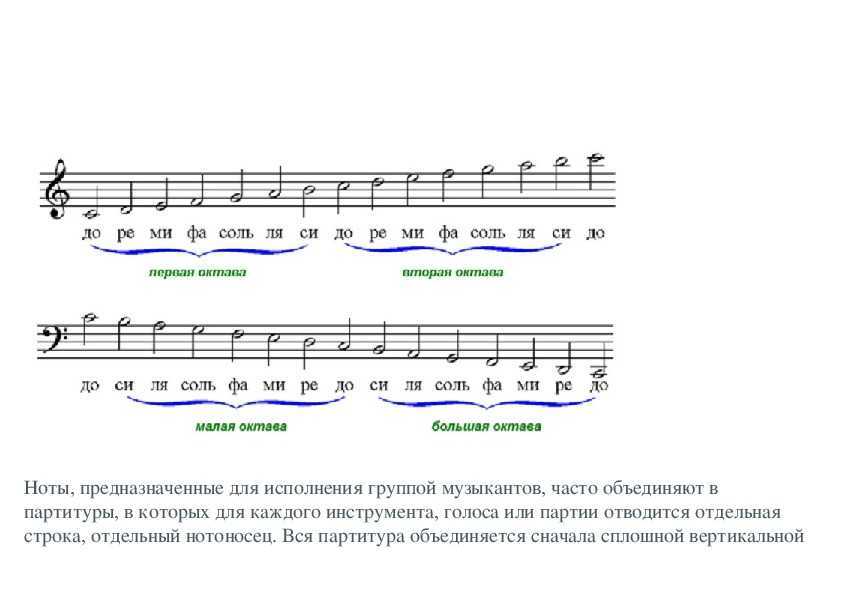 Нотная грамота для начинающих музыкантов - art music