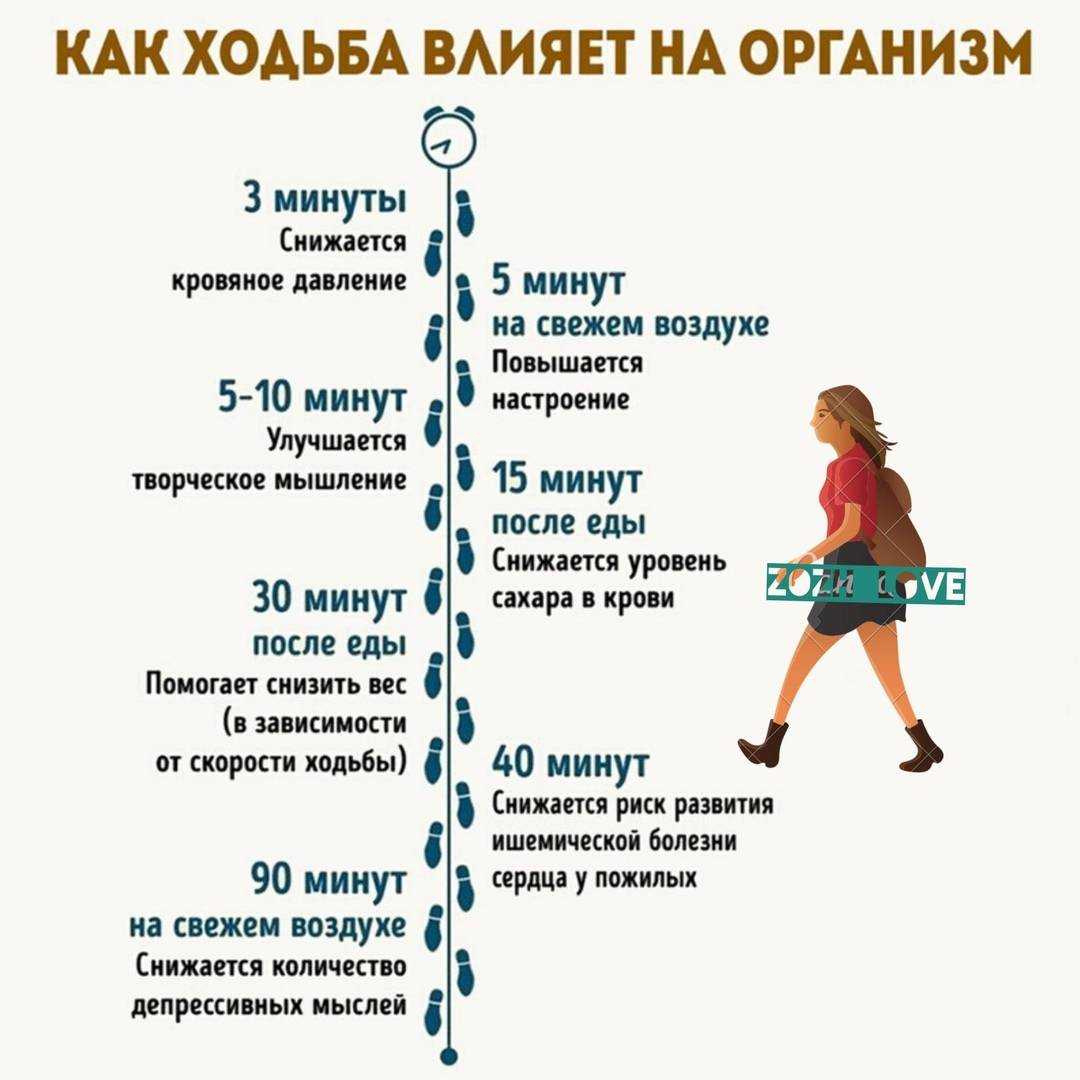 В чем необходимость проходить по 10000 шагов в день? обзор и советы +видео