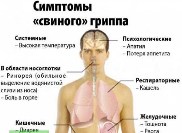 Новая угроза здоровью в россии — какой вирус сейчас ходит в россии в январе 2024 года