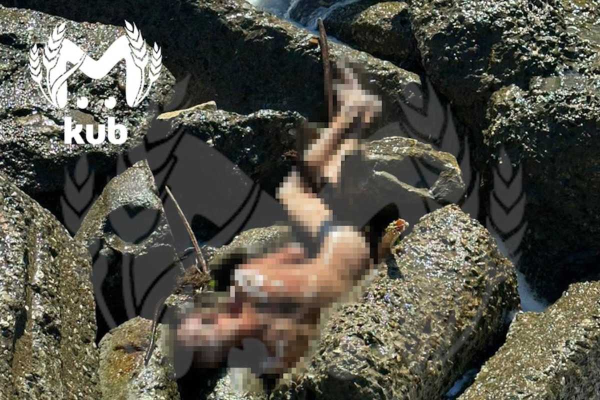 Хоккеиста арестовали за убийство на льду. полоснул соперника коньком по горлу | спортивные недели
