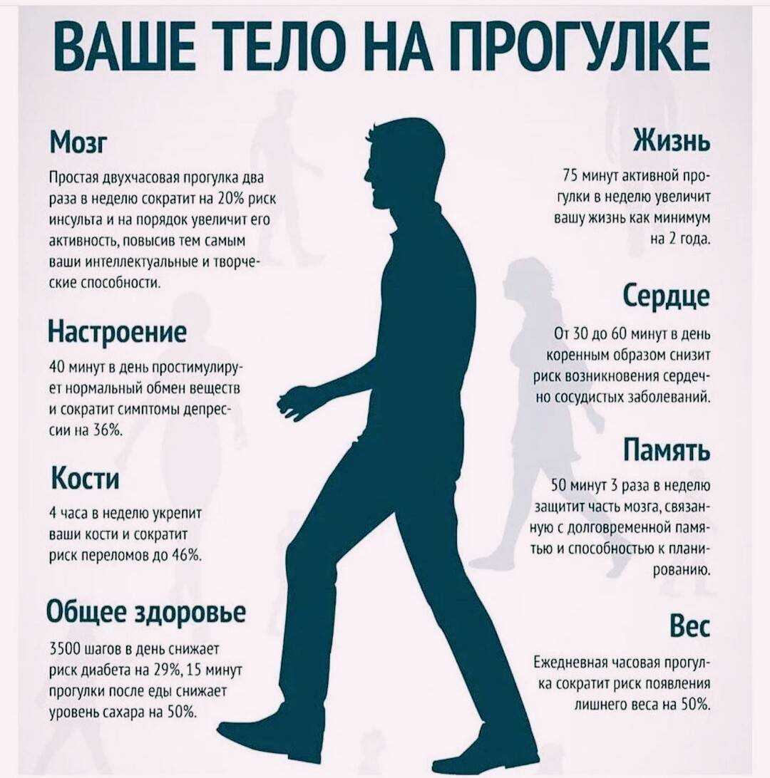 Развенчан миф о 10 000 шагах в день :: инфониак