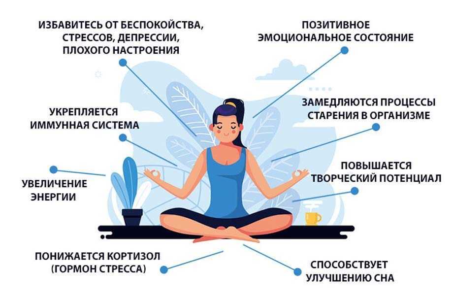 Пало санто: что это такое, для чего используется, польза, как применять и многое другое!