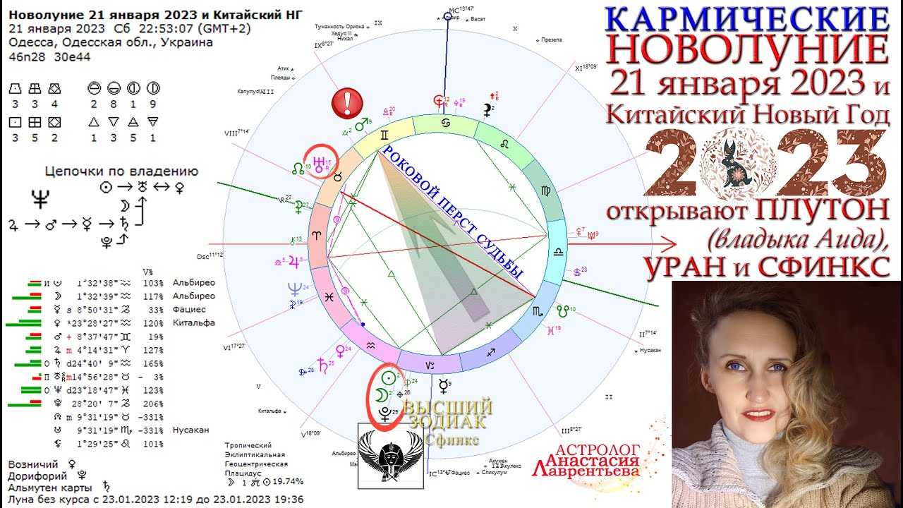 Гороскоп на 2023 год по знакам зодиака и дате рождения: мужчина и женщина в год чёрного кролика