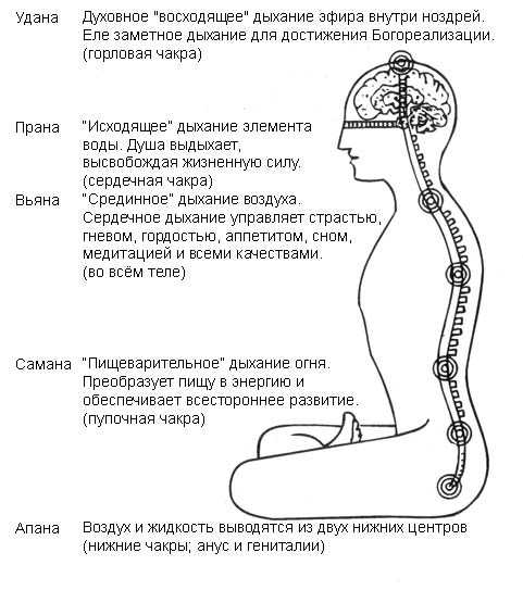 Яна троянова - биография, новости, личная жизнь, фото, видео - stuki-druki.com