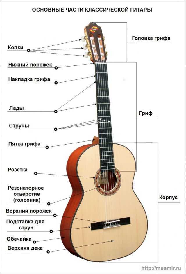 Регулируем анкер и изгиб грифа на гитаре