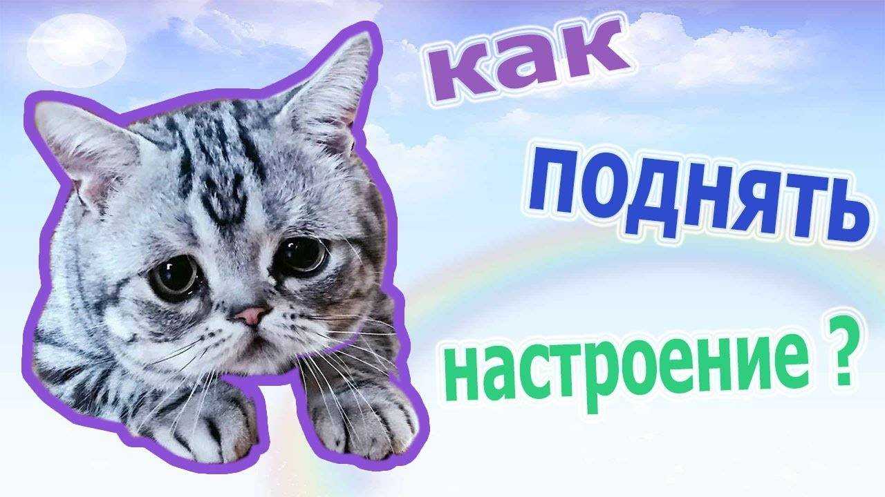 Магия улыбки: как управлять своим настроением