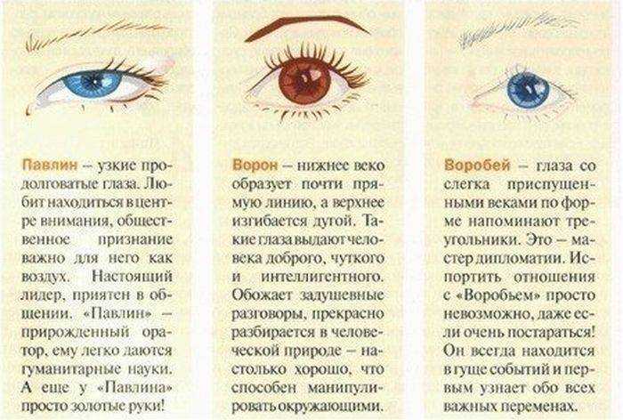 Цвет глаз и генетика. не все так просто с цветом глаз