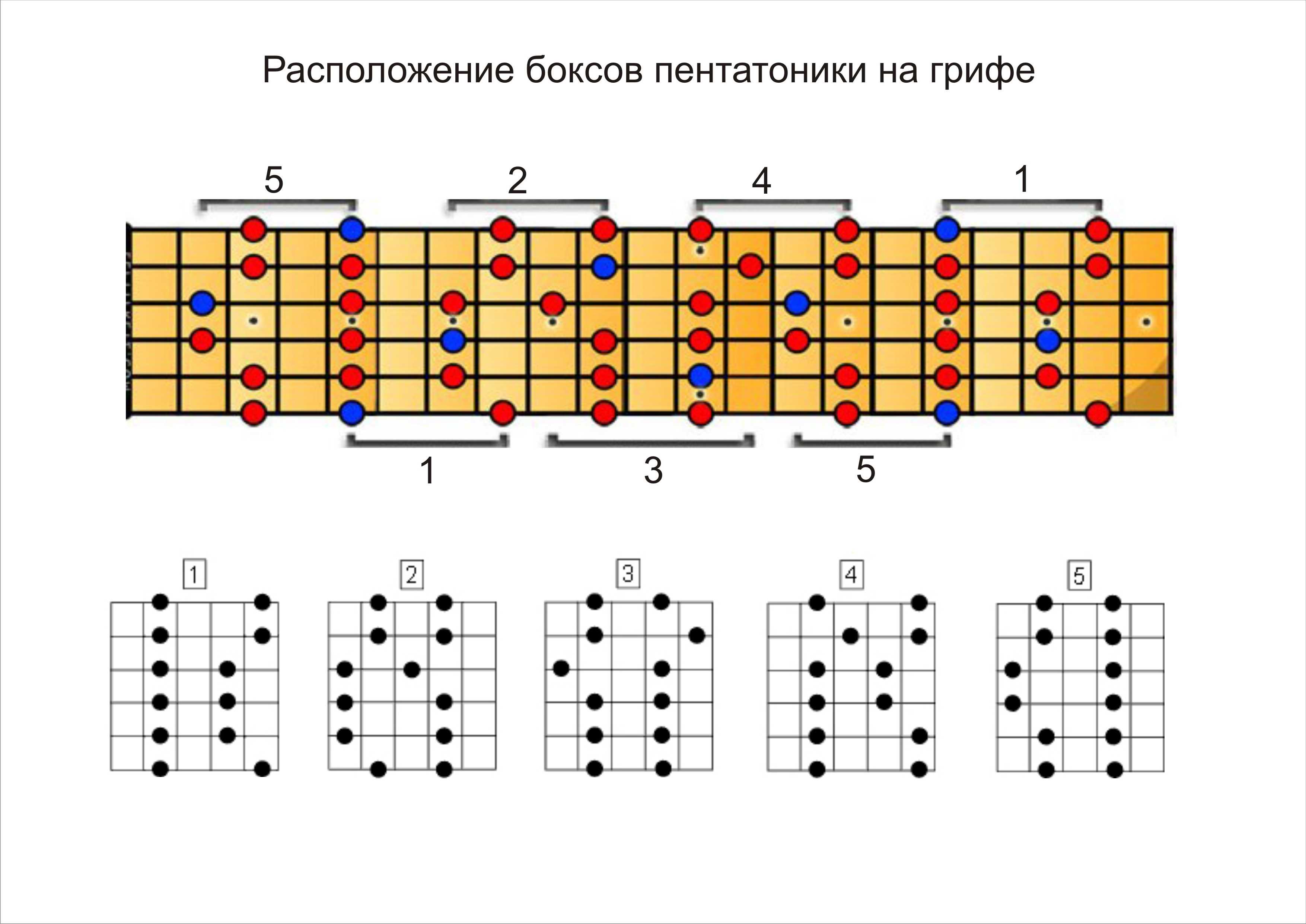 Игра на гитаре для начинающих с нуля