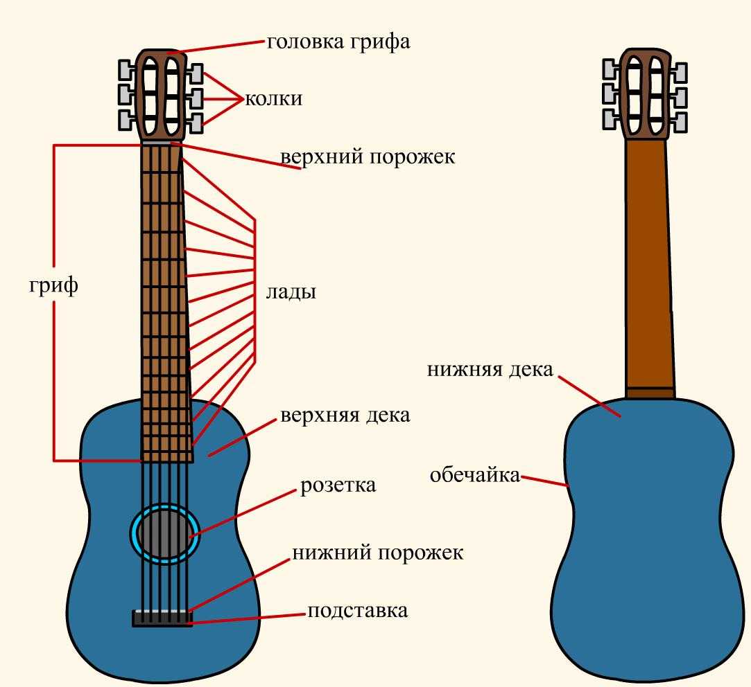 Обучение гитаре с нуля: нотная грамота — gtars.ru