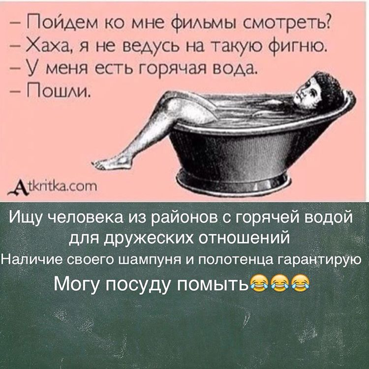 Лучшие цитаты про бездомных собак, которые заставят задуматься