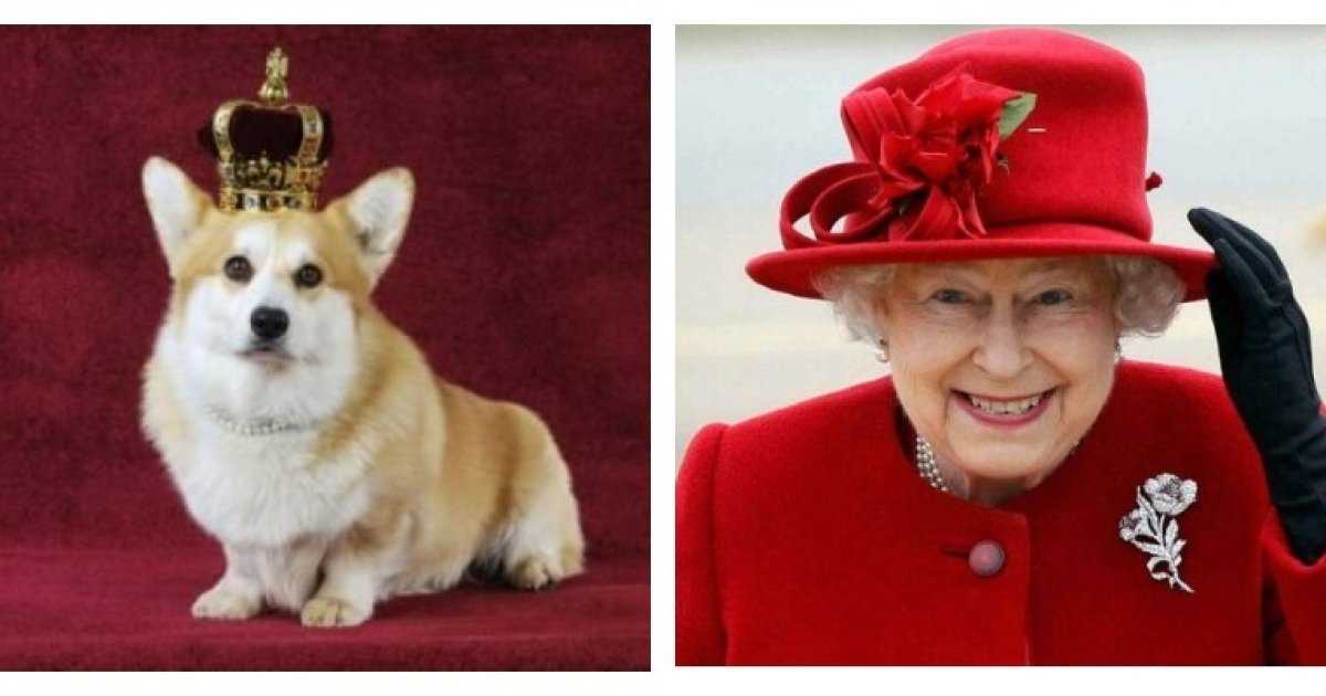 Королева-мать: железная рука в бархатной перчатке