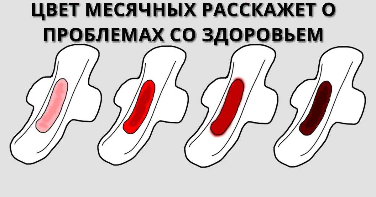 «гости из краснодара»: почему во всём мире боятся говорить о менструации