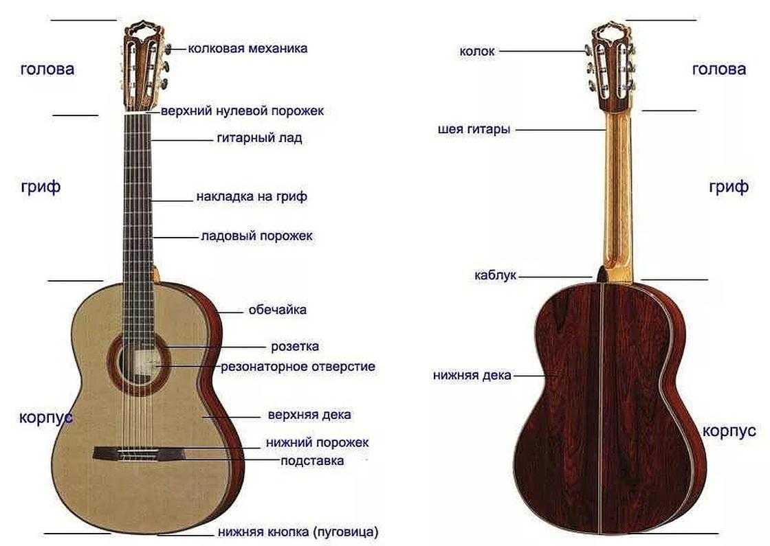 Электроакустическая гитара: особенности конструкции
