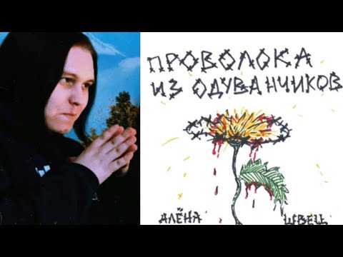 Здравствуй небо в облаках, аккорды и бой для гитары и укулеле без баре для начинающих, текст песни
