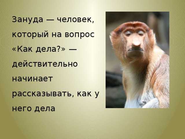 Зануда: как не быть занудой?