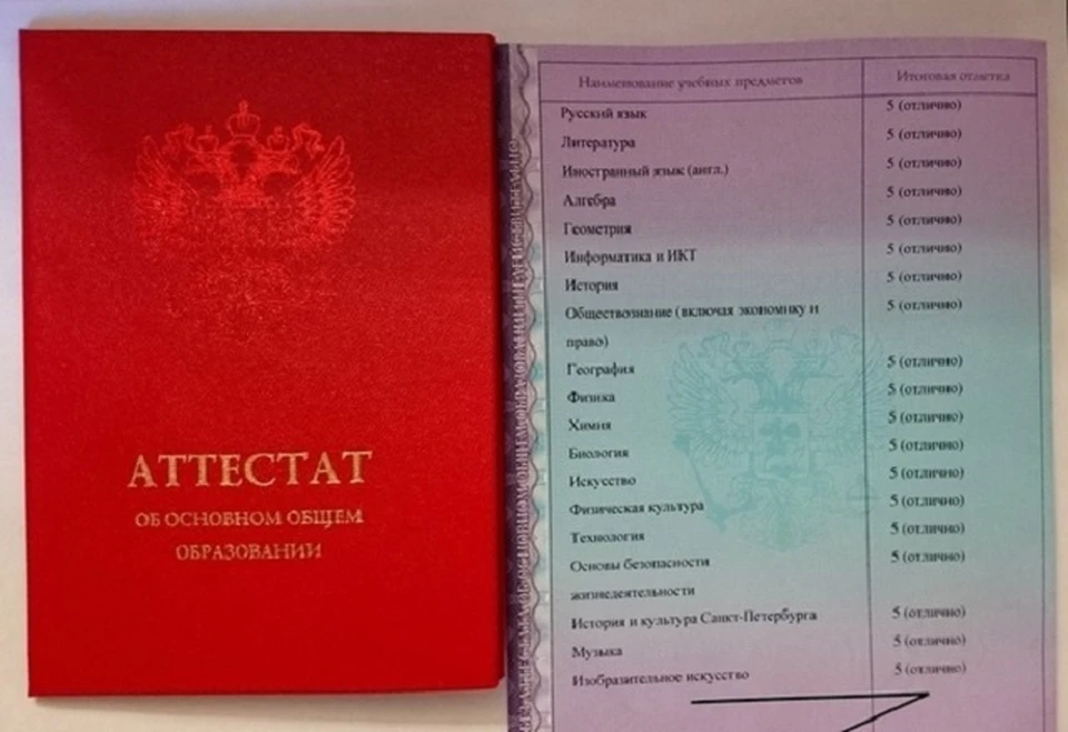 Не ходили в колледж, но добились мировой славы. знаменитости без образования