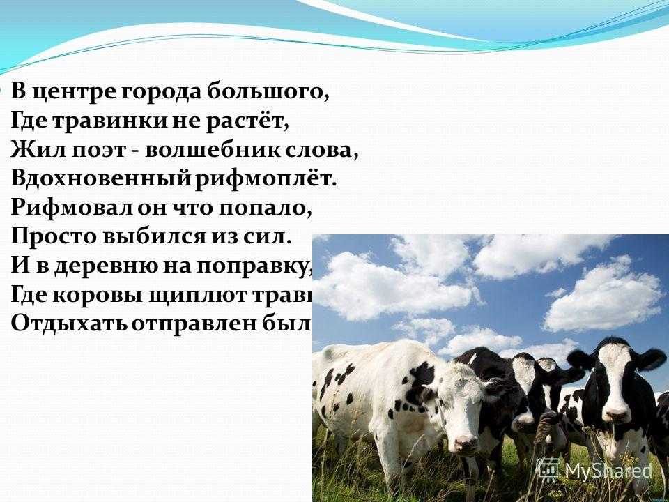 Тридцать три коровы — текст, видео, аудио, ноты, аккорды 2023