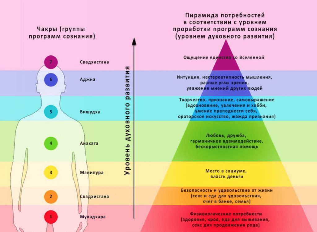 Книга самоучитель по хронально-векторной диагностике. часть i читать онлайн бесплатно, автор ольга бекенёва – fictionbook