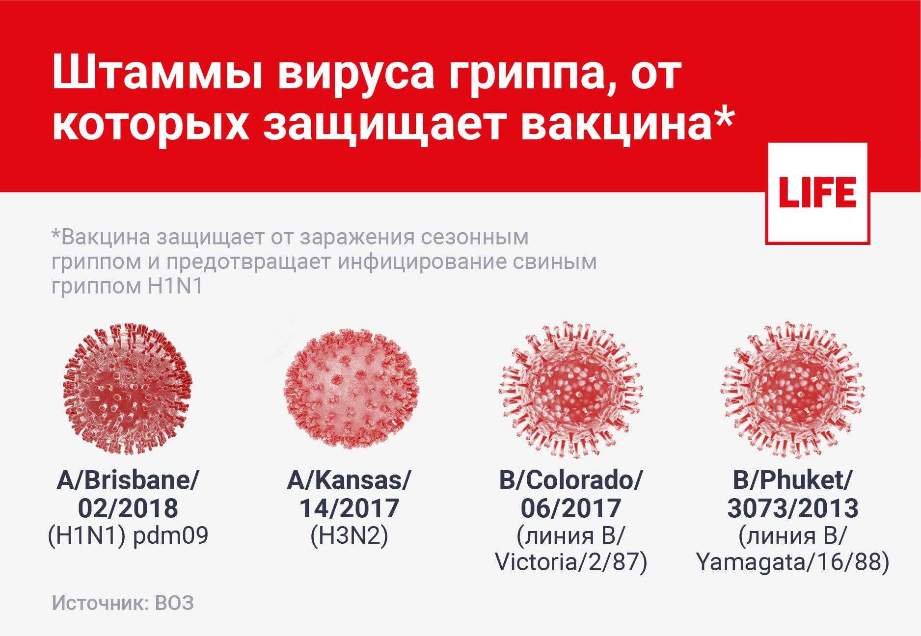 Чем отличается грипп от коронавируса по симптомам