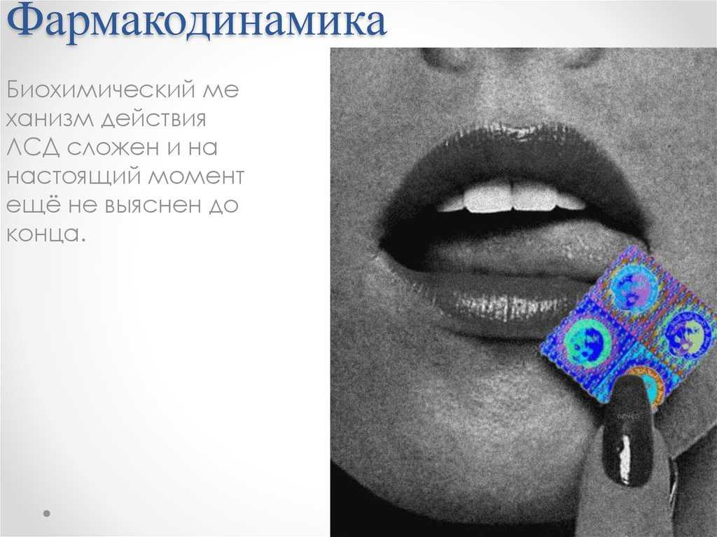 Поклонники считают что виктория боня сделала пластику. виктория боня до и после пластики