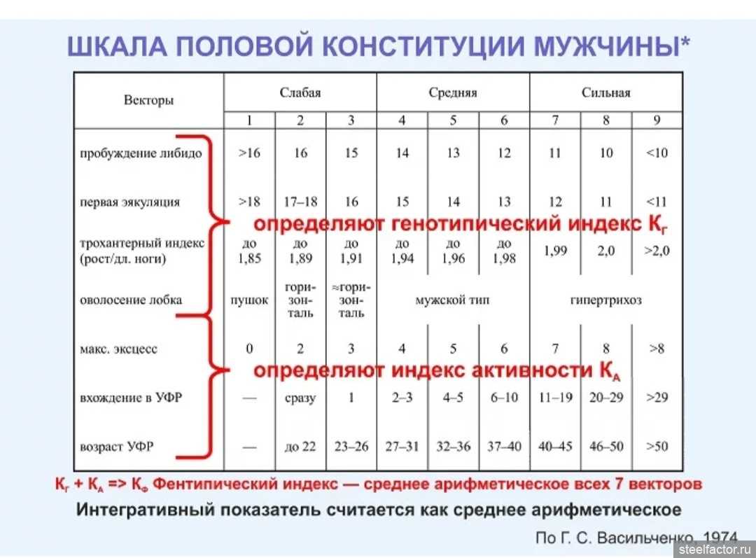 Сексуальная совместимость: половая конституция и совместимость в сексе
