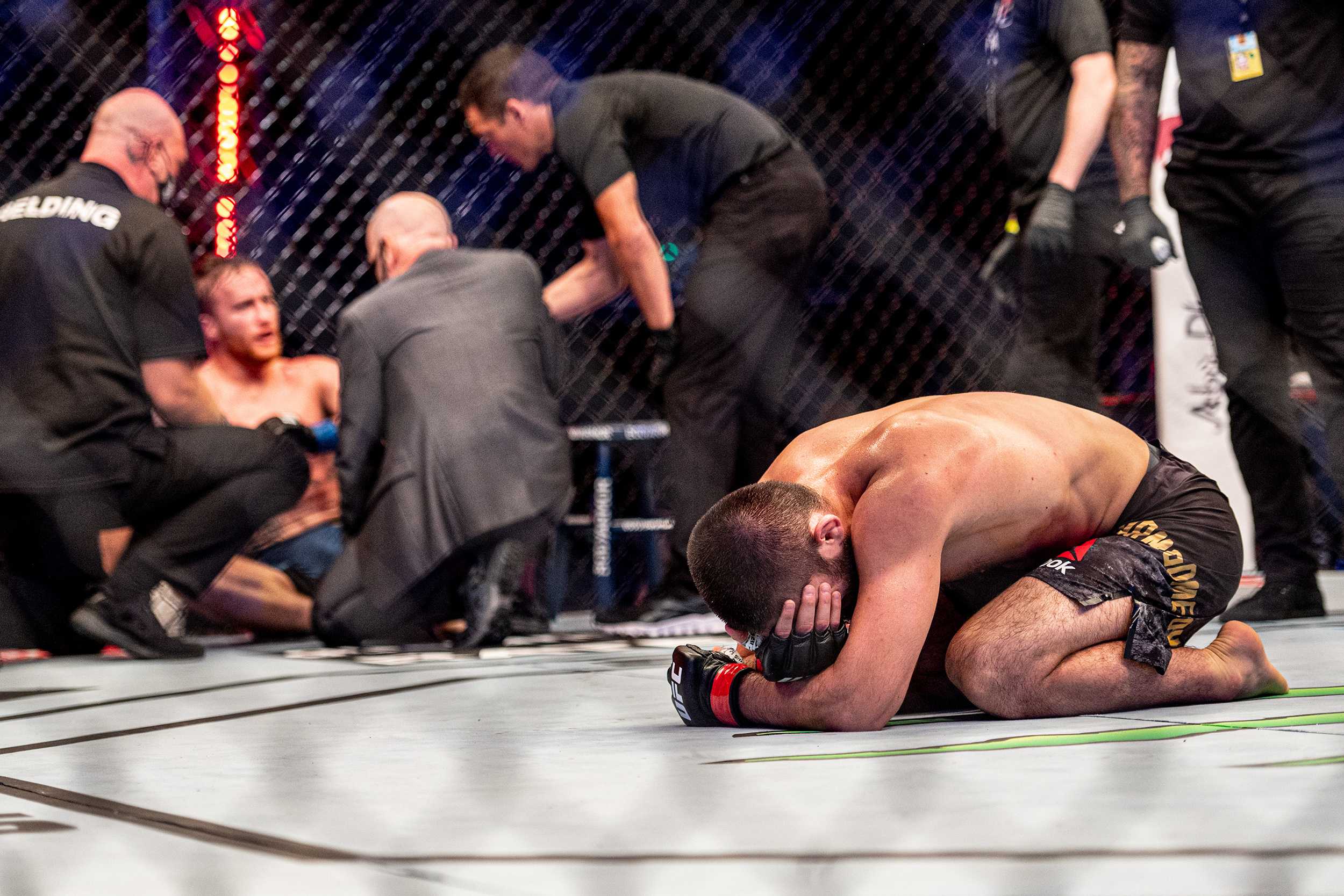 Хабиб нурмагомедов – первый россиянин, включенный в зал славы ufc: вспоминаем путь «орла» в сильнейшей лиге