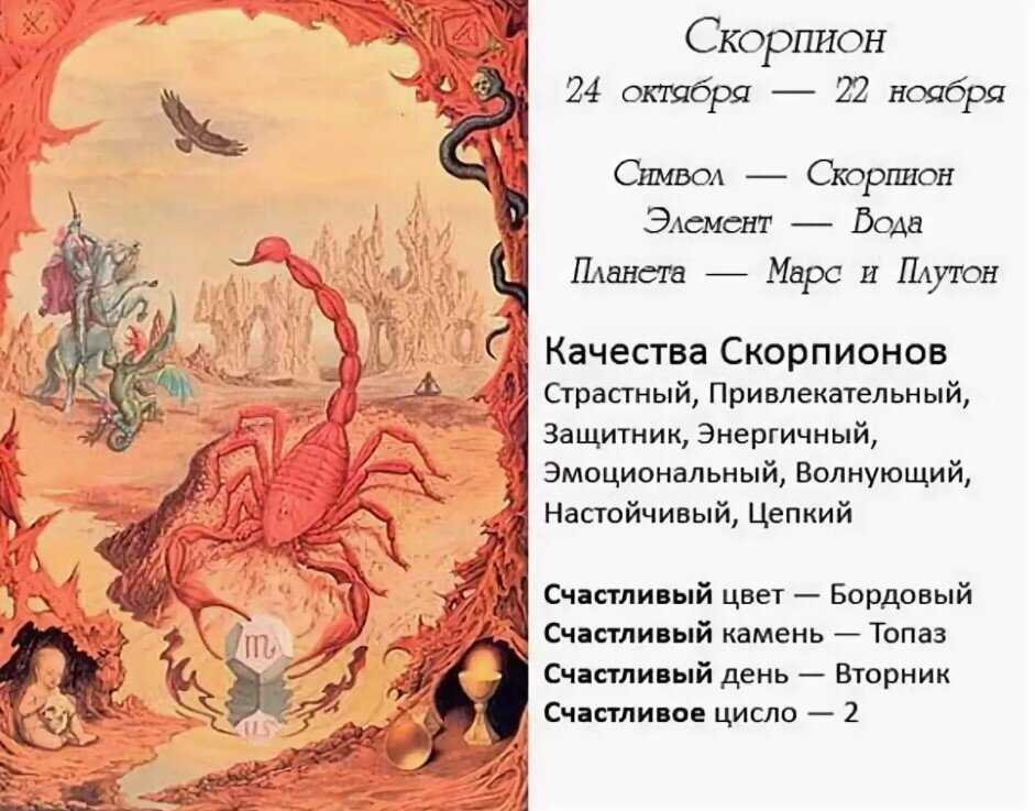 Гороскоп на 2024 год для скорпиона