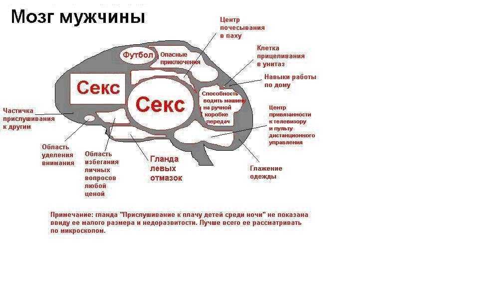Если размер не имеет значения почему. размер имеет значение