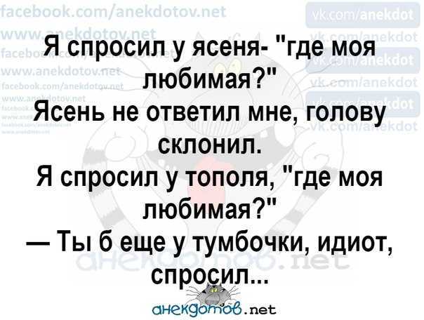 Я спросил у ясеня - аккорды, слова | самоучка на гитаре